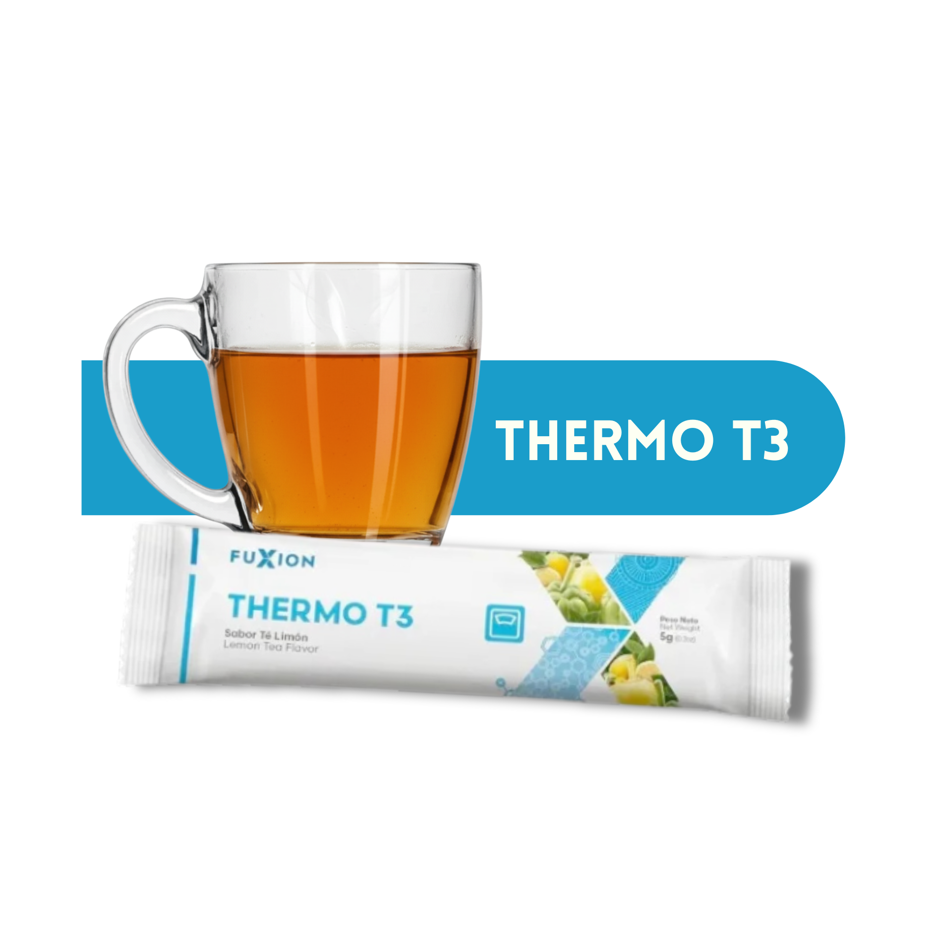 THERMO T3